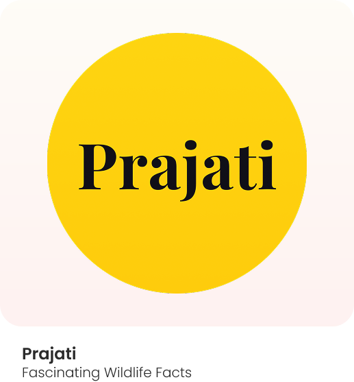Prajati — Know Species