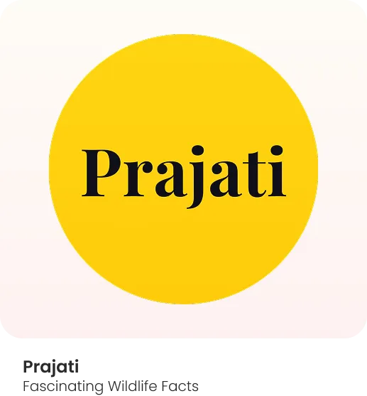 Prajati - Know Species